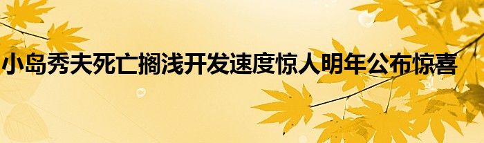 小岛秀夫死亡搁浅开发速度惊人明年公布惊喜