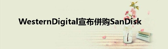 WesternDigital宣布併购SanDisk