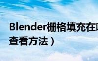 Blender栅格填充在哪里（Blender栅格填充查看方法）