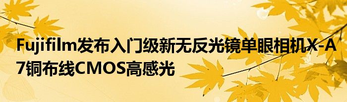 Fujifilm发布入门级新无反光镜单眼相机X