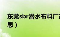 东莞sbr潜水布料厂家（sbr潜水布料什么意思）