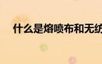 什么是熔喷布和无纺布（什么是熔喷布）