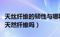 天丝纤维的韧性与哪种纤维接近（天丝纤维是天然纤维吗）