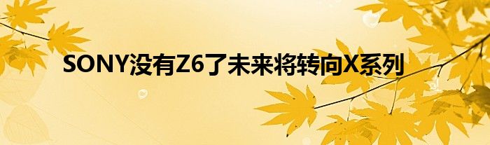 SONY没有Z6了未来将转向X系列