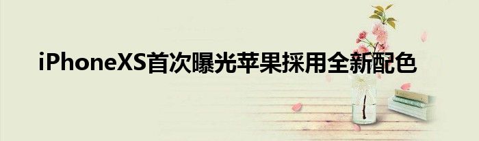 iPhoneXS首次曝光苹果採用全新配色