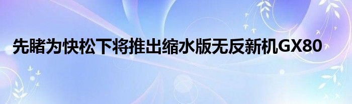 先睹为快松下将推出缩水版无反新机GX80