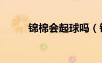 锦棉会起球吗（锦棉面料起球吗）