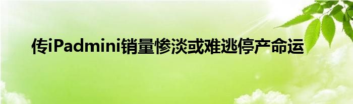传iPadmini销量惨淡或难逃停产命运