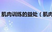 肌肉训练的益处（肌肉训练对人有哪些益处）