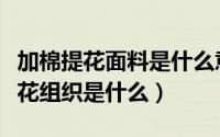 加棉提花面料是什么意思（棉锦弹力面料的提花组织是什么）
