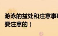 游泳的益处和注意事项（游泳有哪些益处和需要注意的）