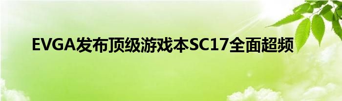 EVGA发布顶级游戏本SC17全面超频