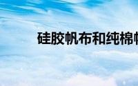 硅胶帆布和纯棉帆布哪个更耐光？