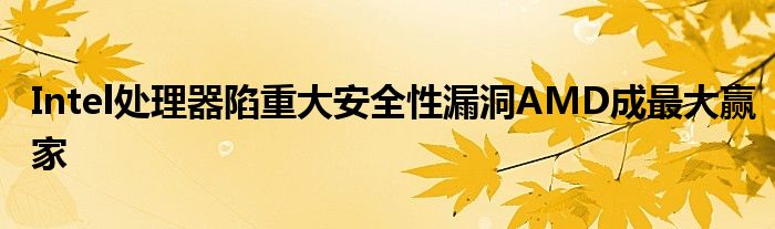 Intel处理器陷重大安全性漏洞AMD成最大赢家
