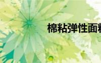 棉粘弹性面料如何分类？