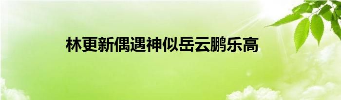 林更新偶遇神似岳云鹏乐高