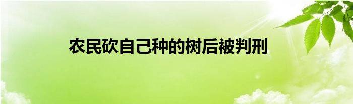 农民砍自己种的树后被判刑