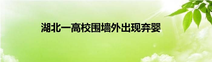 湖北一高校围墙外出现弃婴