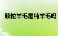 颗粒羊毛是纯羊毛吗（颗粒羊毛是羊毛吗）