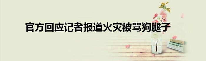 官方回应记者报道火灾被骂狗腿子