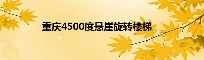 重庆4500度悬崖旋转楼梯