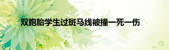 双胞胎学生过斑马线被撞一死一伤