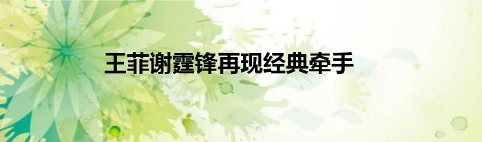 王菲谢霆锋再现经典牵手