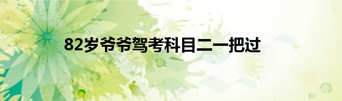82岁爷爷驾考科目二一把过