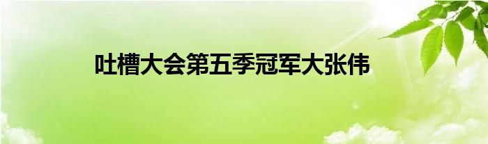 吐槽大会第五季冠军大张伟