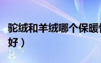 驼绒和羊绒哪个保暖性更好（驼绒和羊绒哪个好）