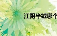 江阴半绒哪个厂家比较好？