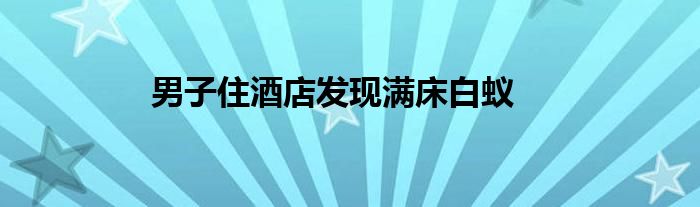 男子住酒店发现满床白蚁
