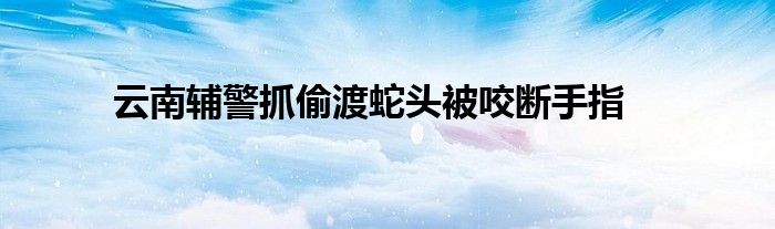 云南辅警抓偷渡蛇头被咬断手指