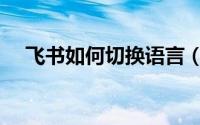 飞书如何切换语言（飞书切换语言教程）