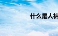 什么是人棉弹力面料？