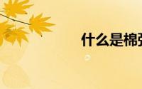 什么是棉弹力面料？