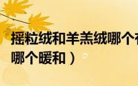 摇粒绒和羊羔绒哪个有静电（摇粒绒和羊羔绒哪个暖和）