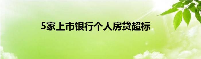 5家上市银行个人房贷超标