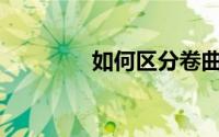 如何区分卷曲绒和羊圈绒？