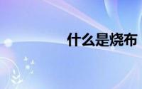 什么是烧布？烧布贵吗？