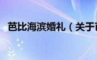 芭比海滨婚礼（关于芭比海滨婚礼的简介）