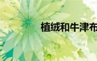 植绒和牛津布有什么区别？
