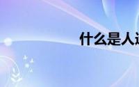 什么是人造丝面料？