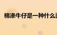 棉涤牛仔是一种什么面料？是棉涤牛仔吗？