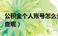 公积金个人账号怎么查（公积金个人账号如何查呢）