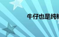 牛仔也是纯棉牛仔的特点