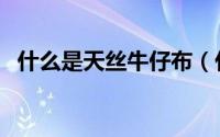 什么是天丝牛仔布（什么是天丝牛仔面料）