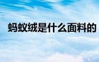 蚂蚁绒是什么面料的（蚂蚁绒是什么面料）