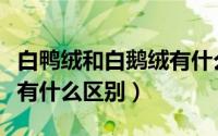 白鸭绒和白鹅绒有什么区别（白鸭绒和白鹅绒有什么区别）