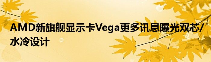 AMD新旗舰显示卡Vega更多讯息曝光双芯/水冷设计